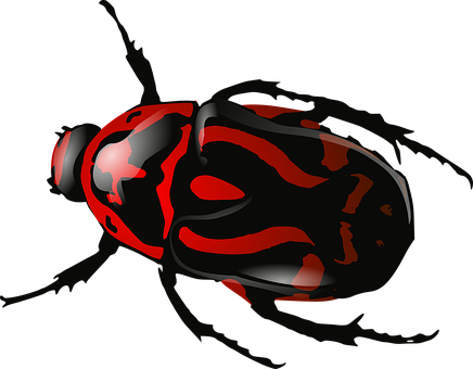 Redand Black Ladybug Illustration PNG