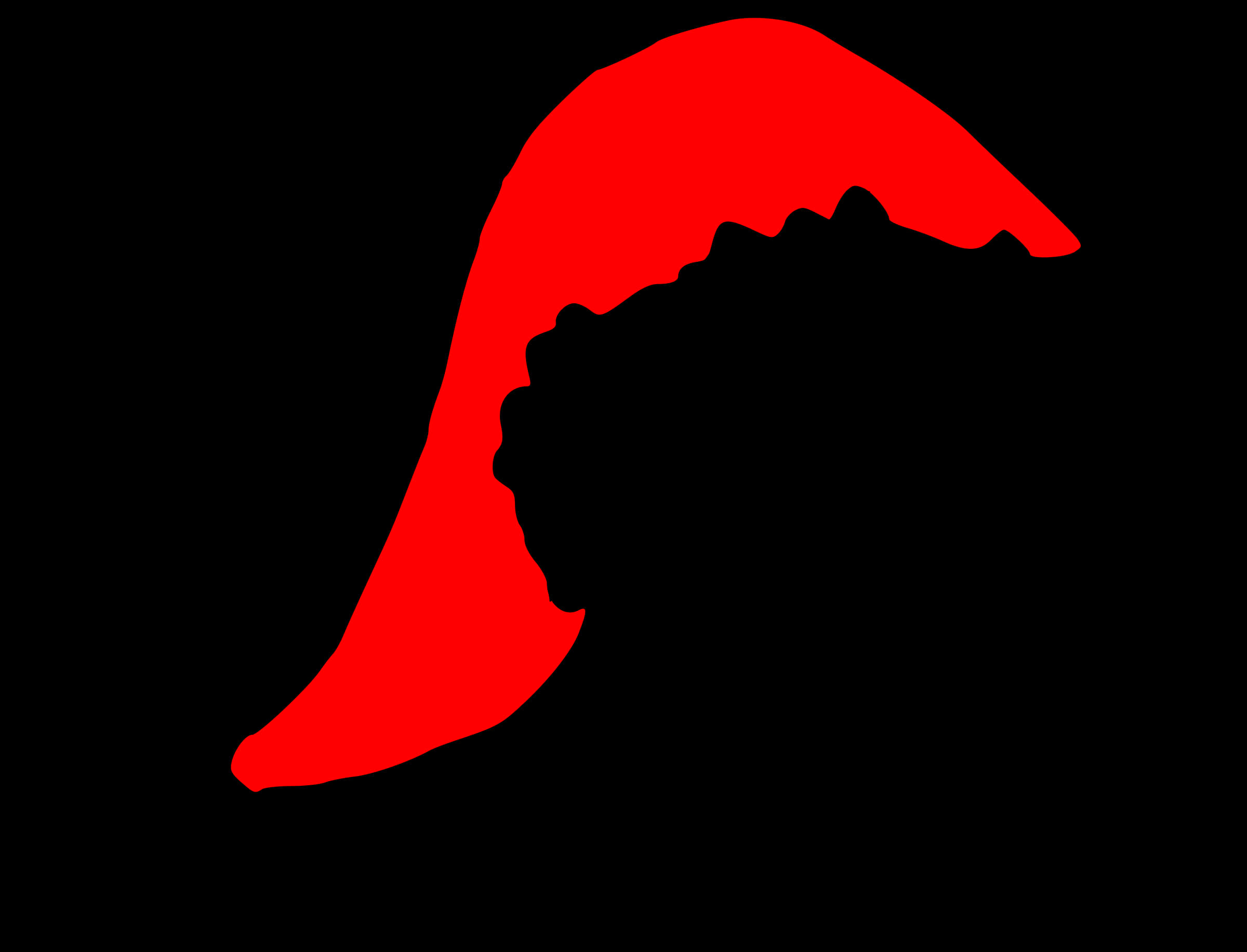 Redand Black Santa Hat Silhouette PNG