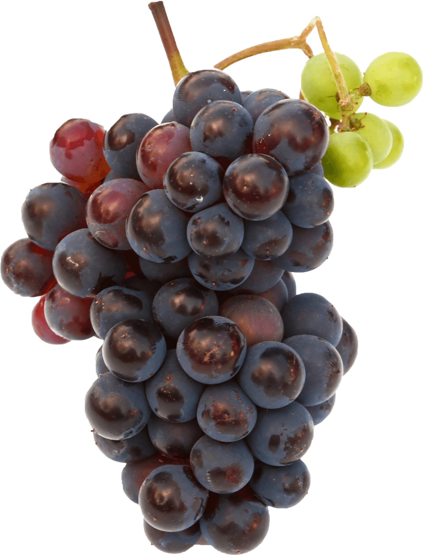 Redand Green Grapes Cluster.png PNG