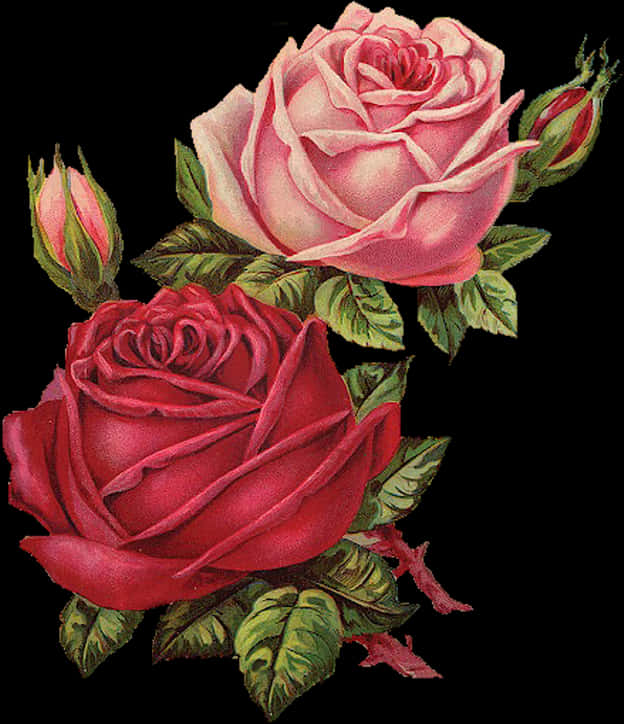 Redand Pink Roses Artwork PNG