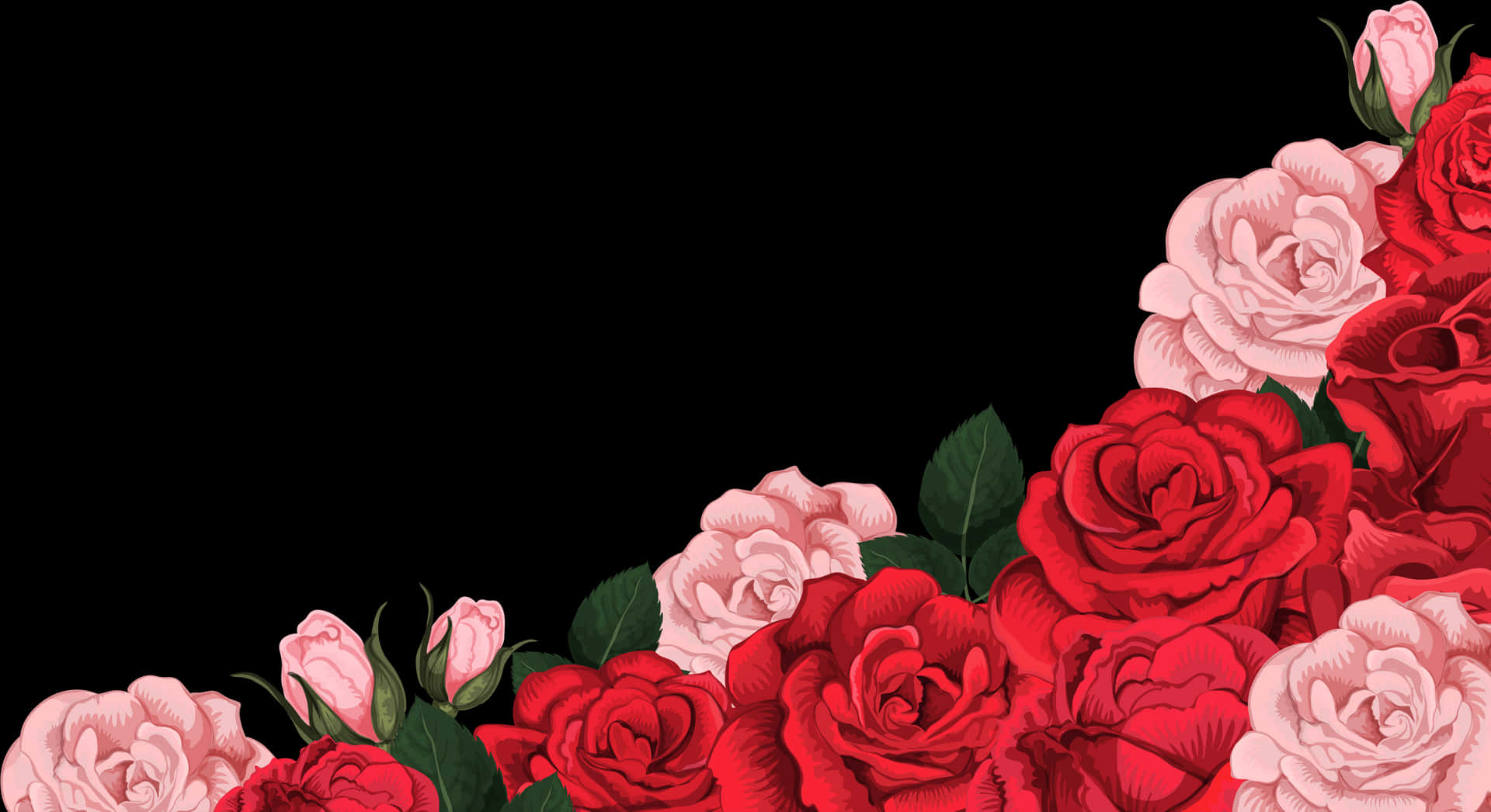 Redand Pink Roseson Black Background PNG