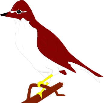 Redand White Bird Illustration PNG