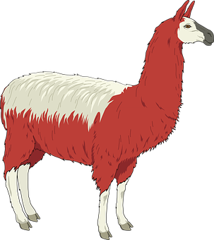 Redand White Llama Illustration PNG