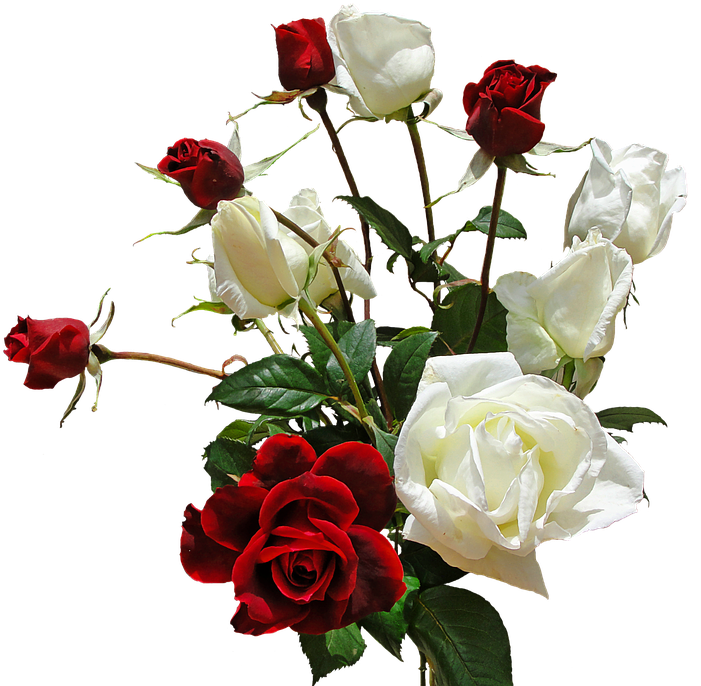 Redand White Roses Bouquet PNG