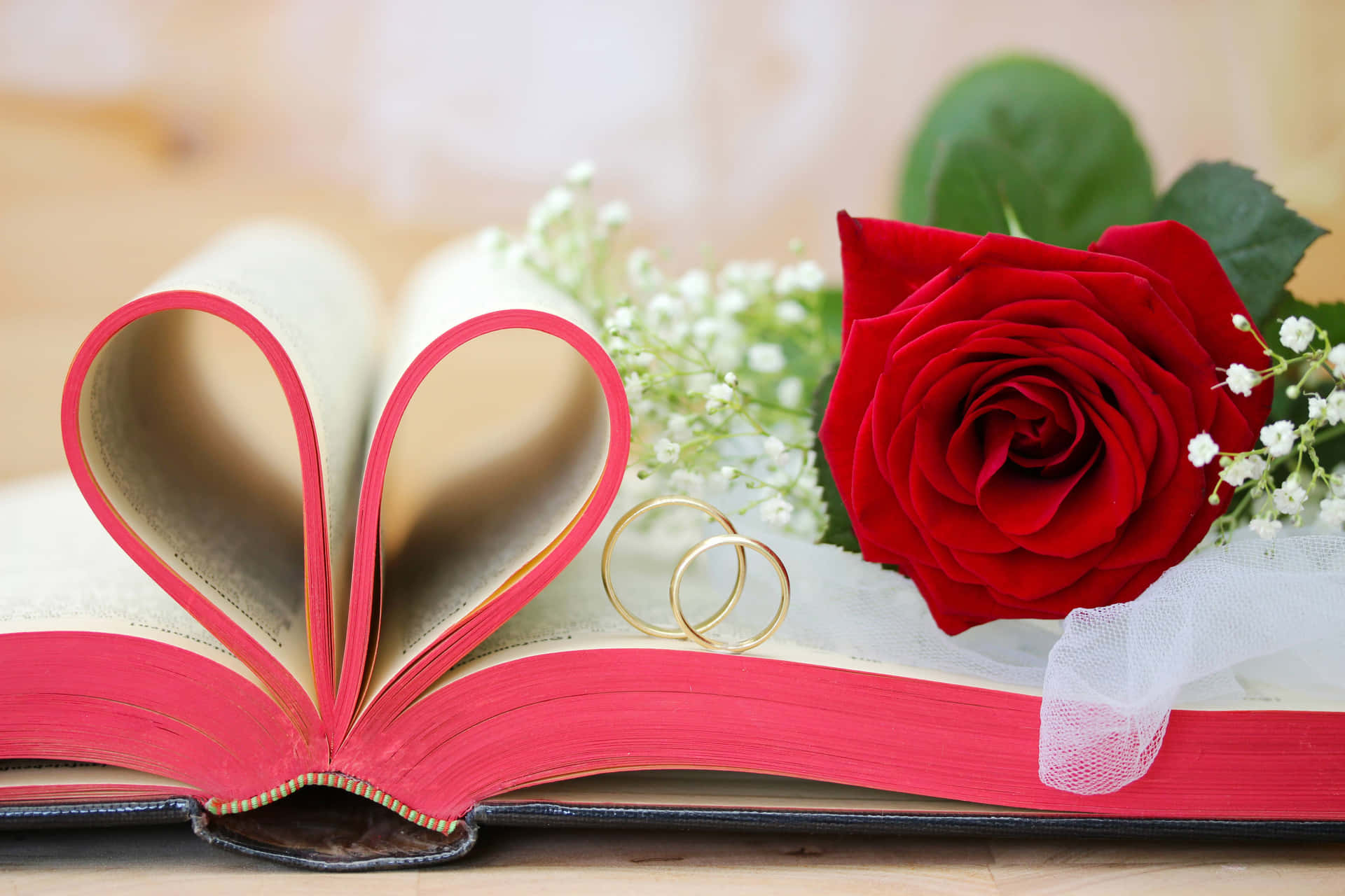 Redd Rose And Book Wedding Background Wallpaper