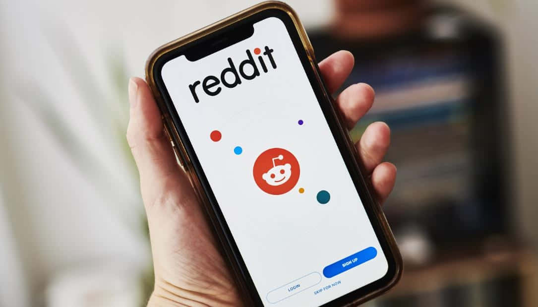 Keep up to date with the latest trends and news on Reddit