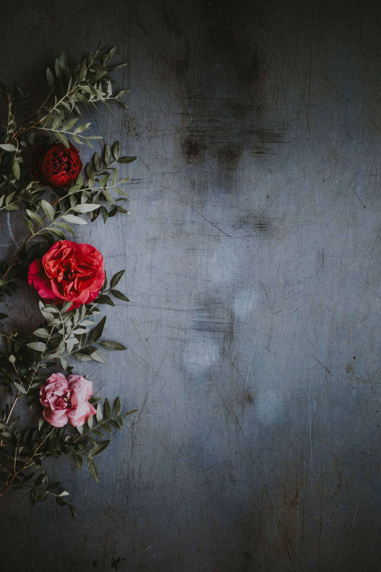 Redmi 4k Roses Wallpaper
