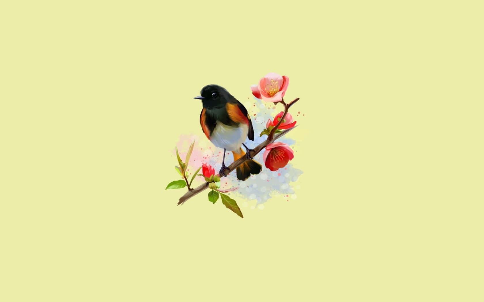 Redstart Birdon Flowering Branch Wallpaper