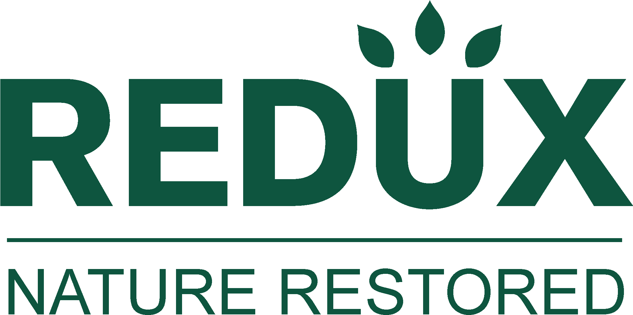 Redux Logo Nature Restored PNG