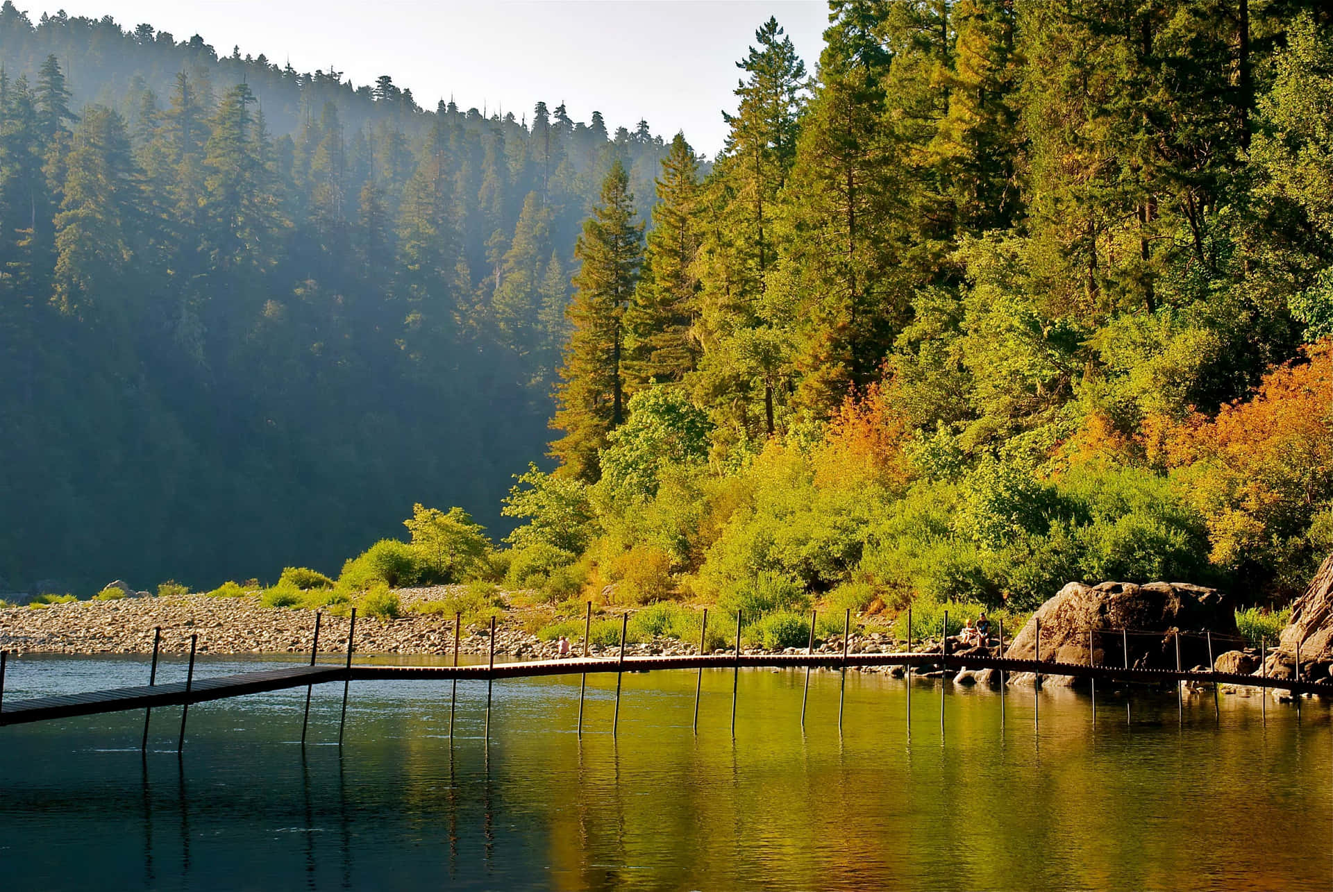 Parquenacional Redwood Río Jedediah Smith Fondo de pantalla