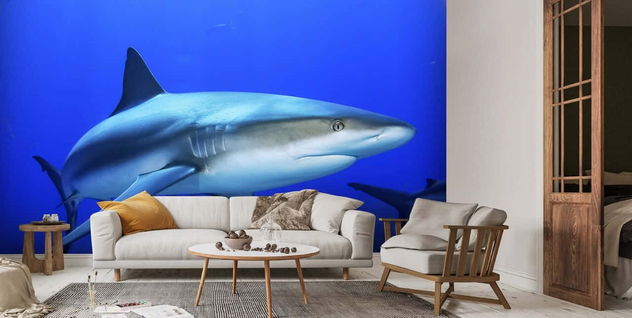 Reef Shark Wall Mural Living Room Wallpaper