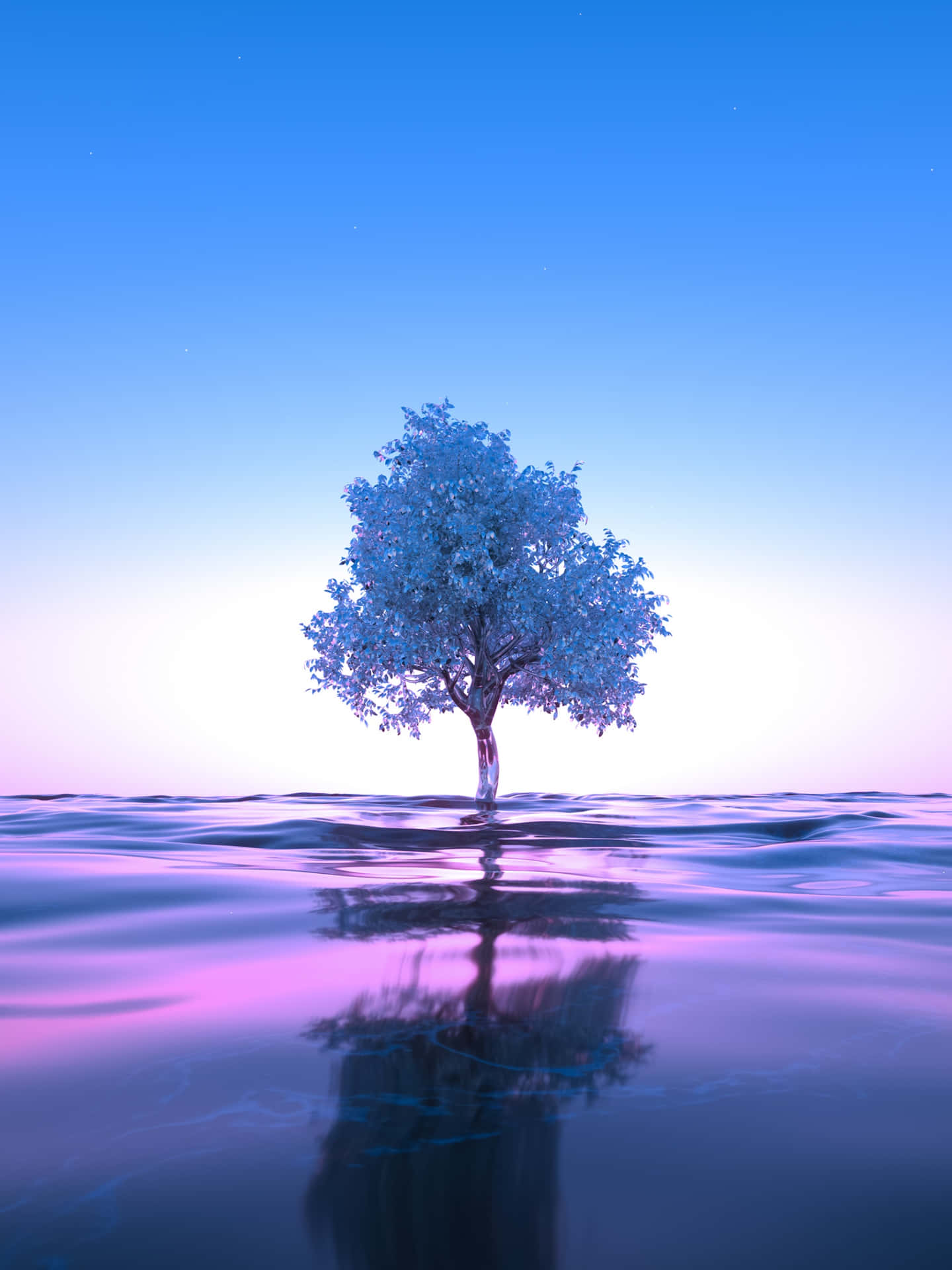 Tree And Purple Sky Reflection Picture
