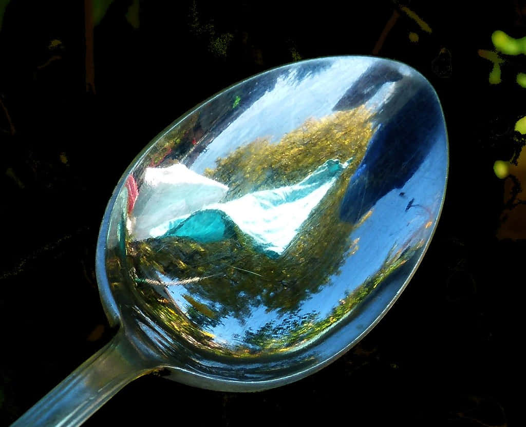Tree Spoon Reflection Picture