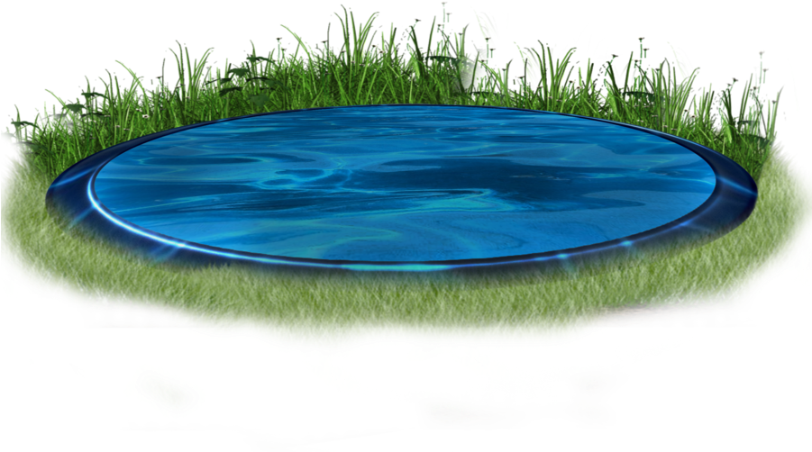 Reflective Discin Grass PNG