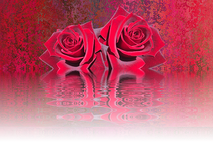 Reflective Red Roses Artwork PNG