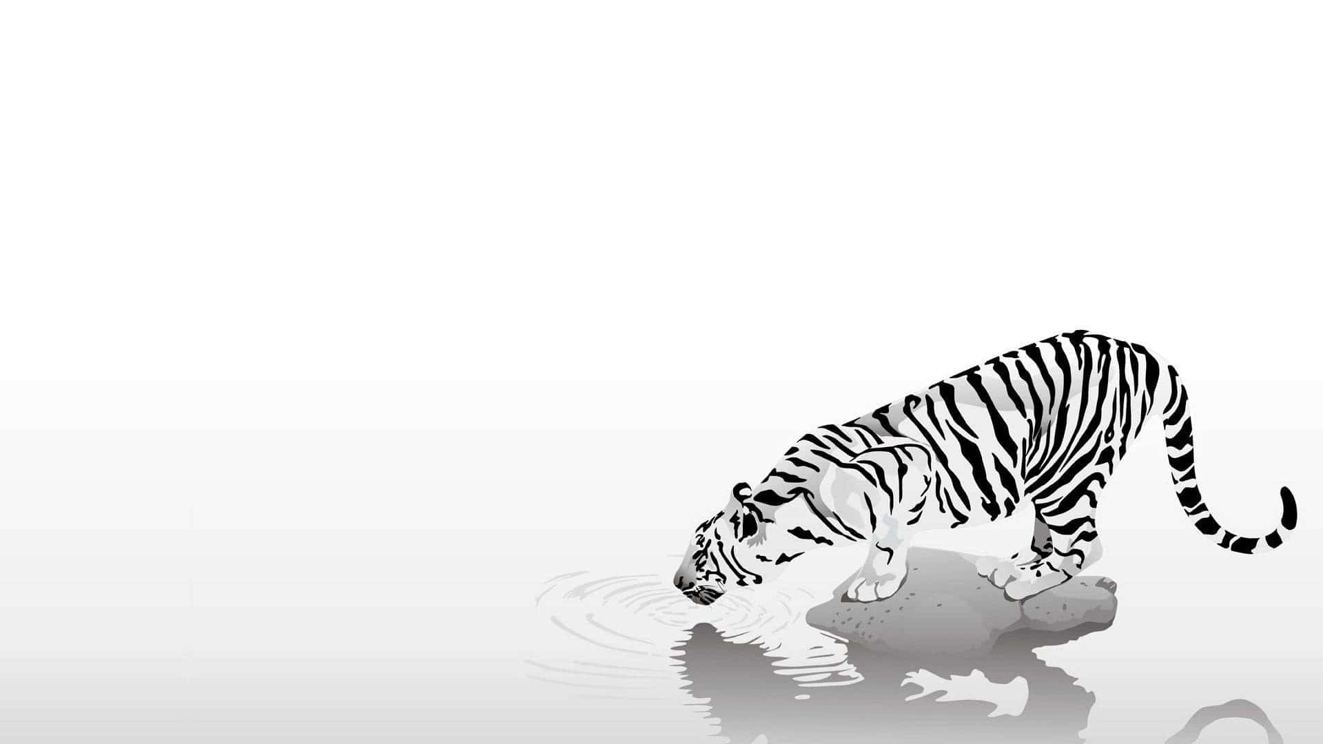 Reflective Tiger Drinking Water Wallpaper