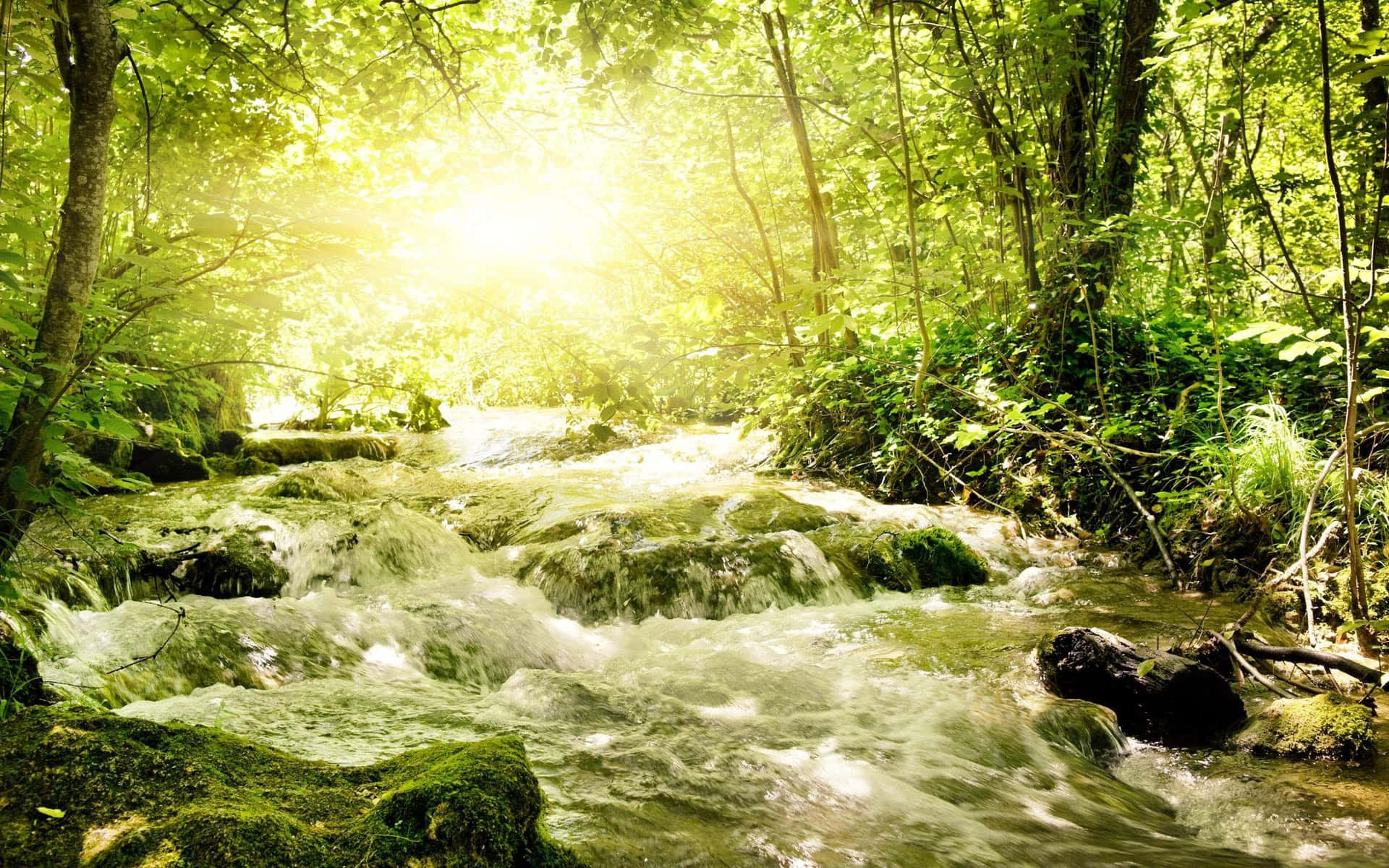 Quench Your Thirst with Nature Wallpaper