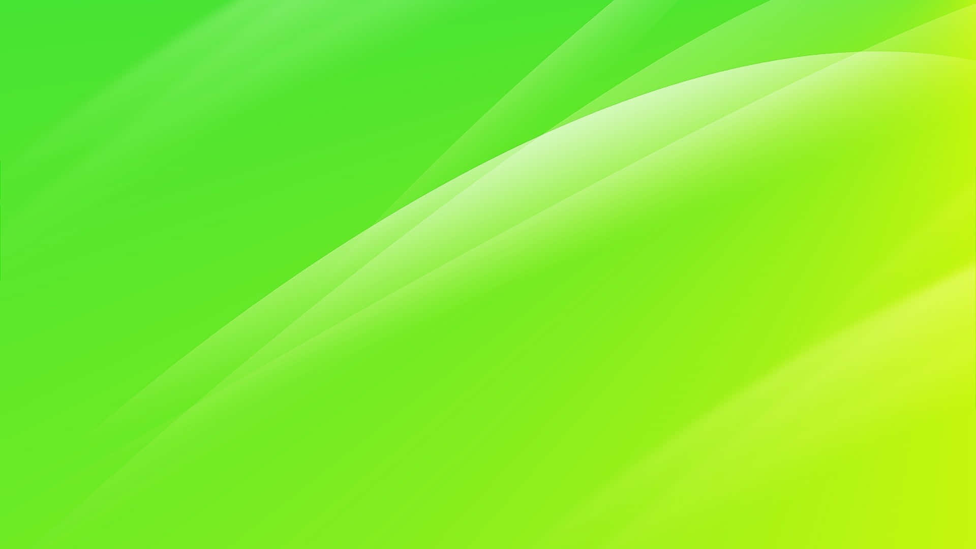 Refreshing Expanse Of Lime Green Foliage Wallpaper