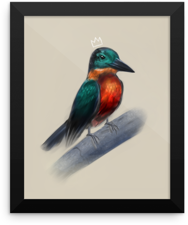 Regal Kingfisher Artwork PNG