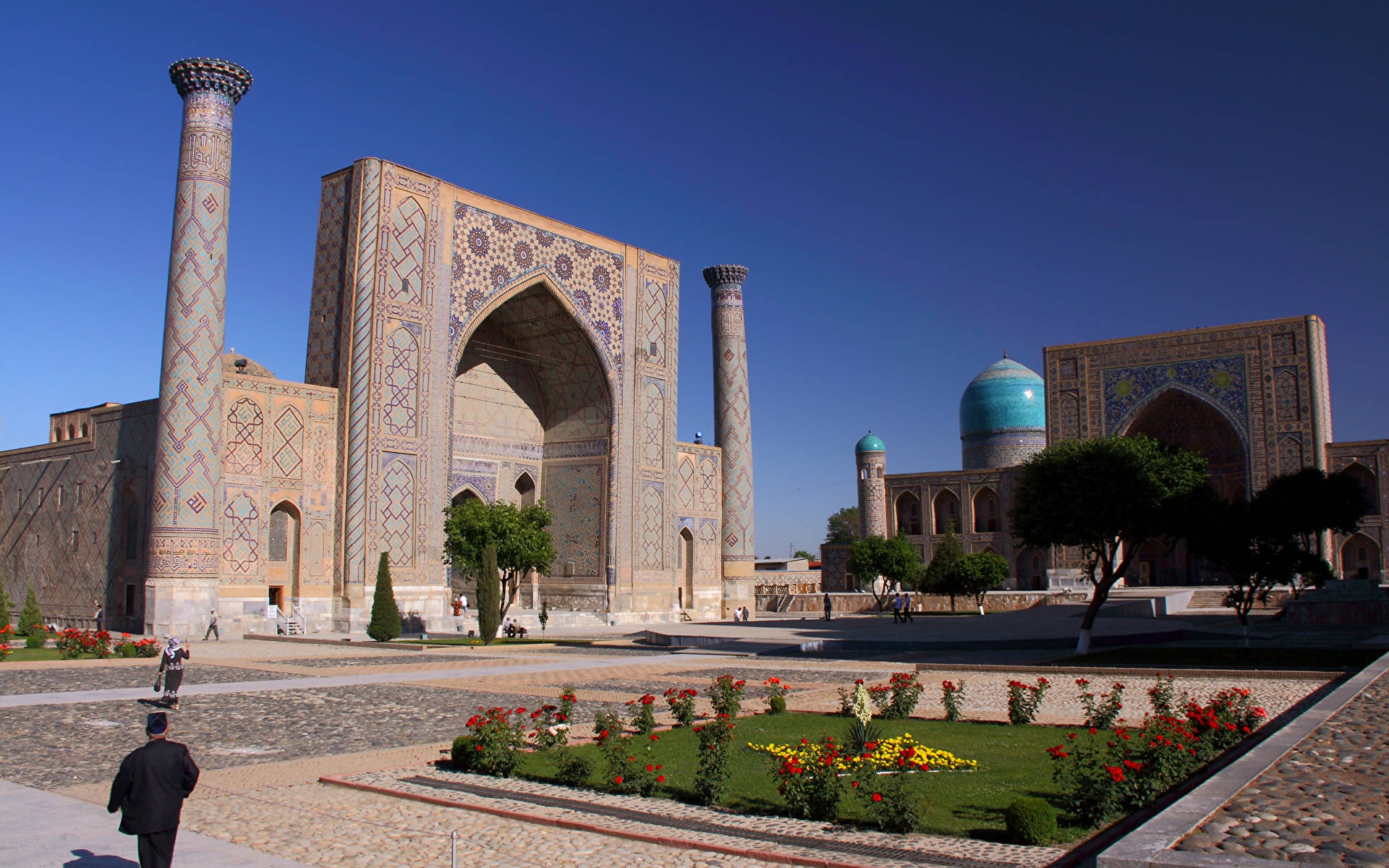 Registreringsplads Samarkand farverige planter Wallpaper