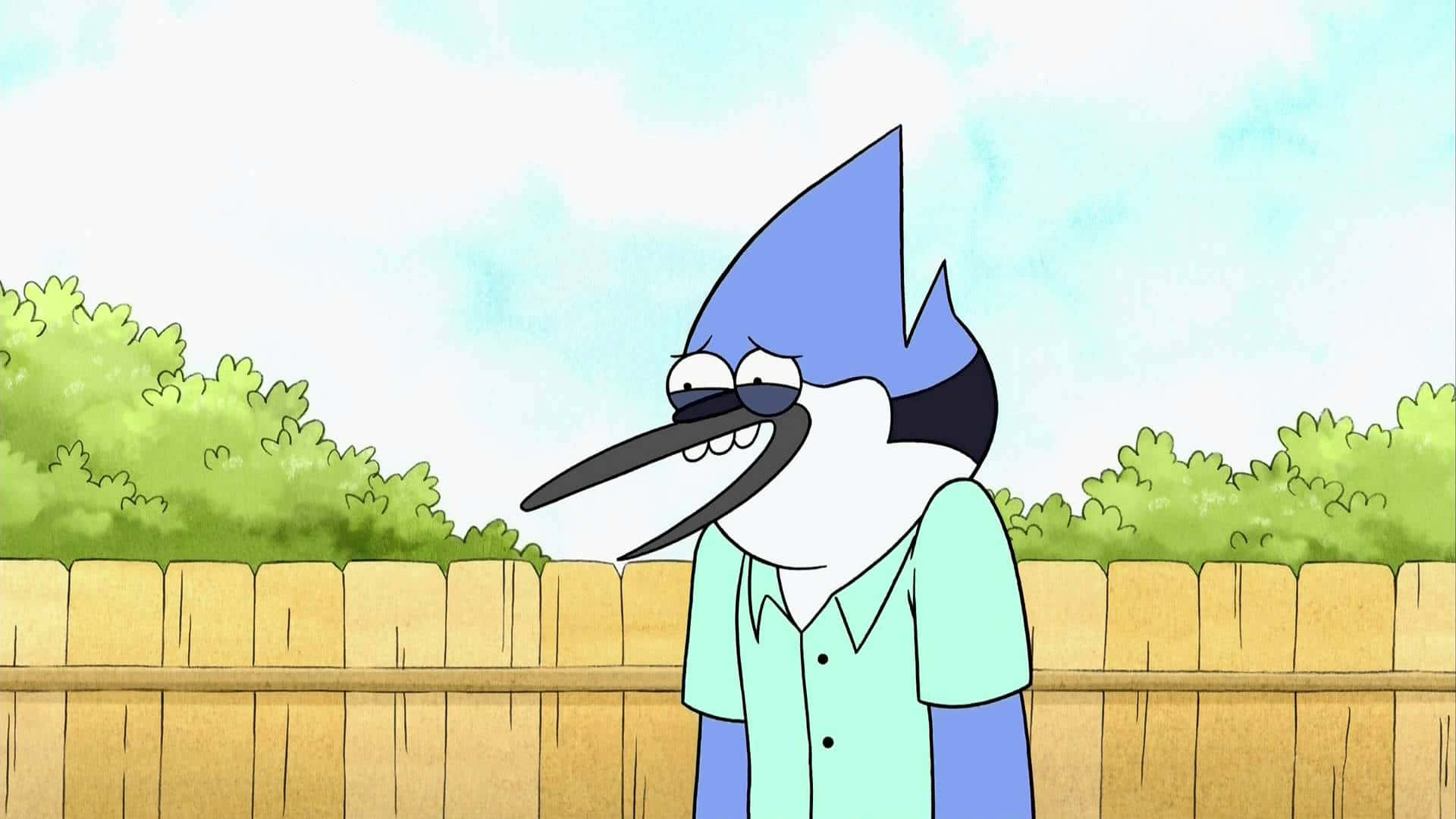 Crazy Adventures of Mordecai and Rigby in Regular Show