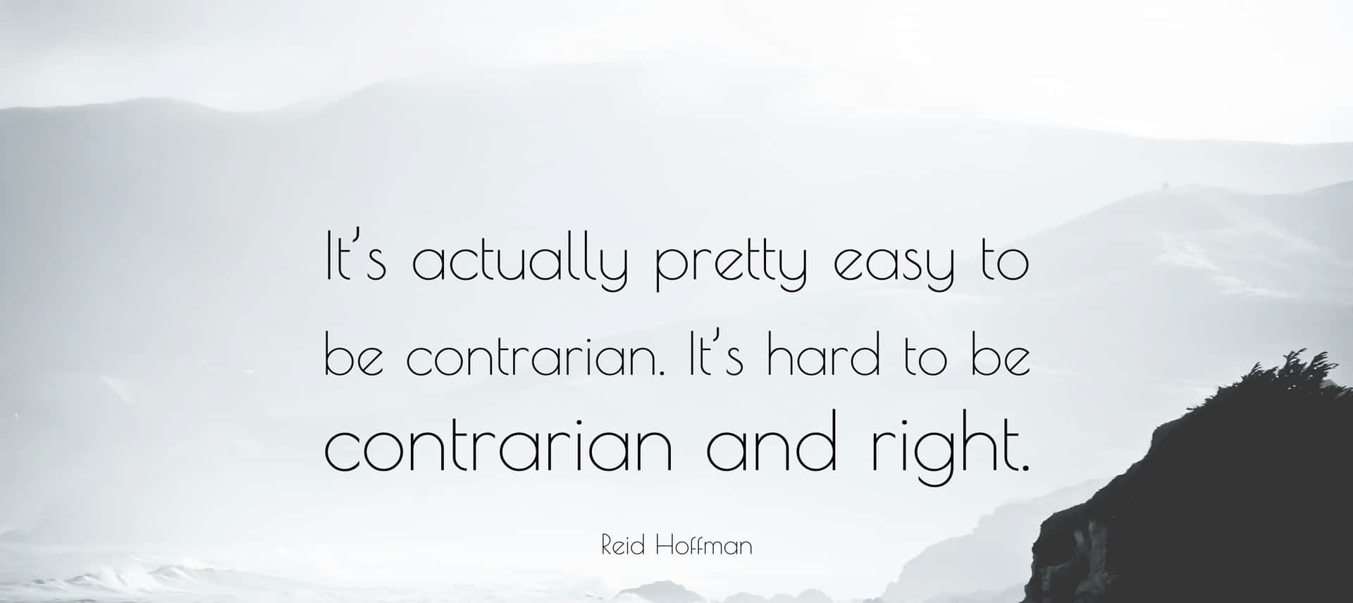 Reid Hoffman Contrarian Quote Wallpaper