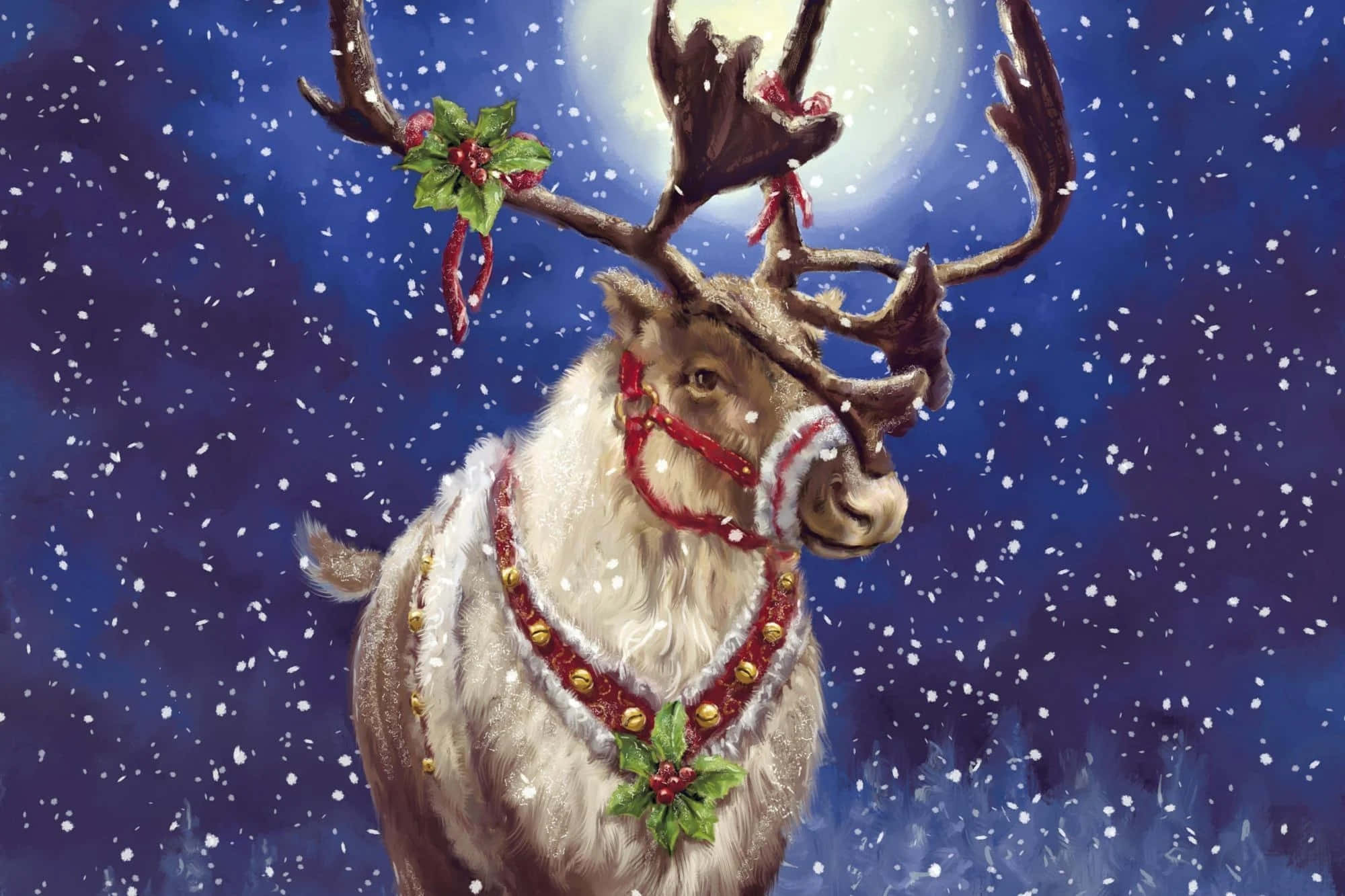 Santa's Reindeer resting in the snow
