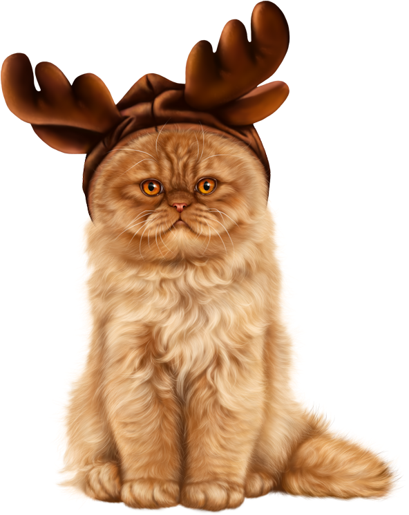 Reindeer Costume Cat PNG