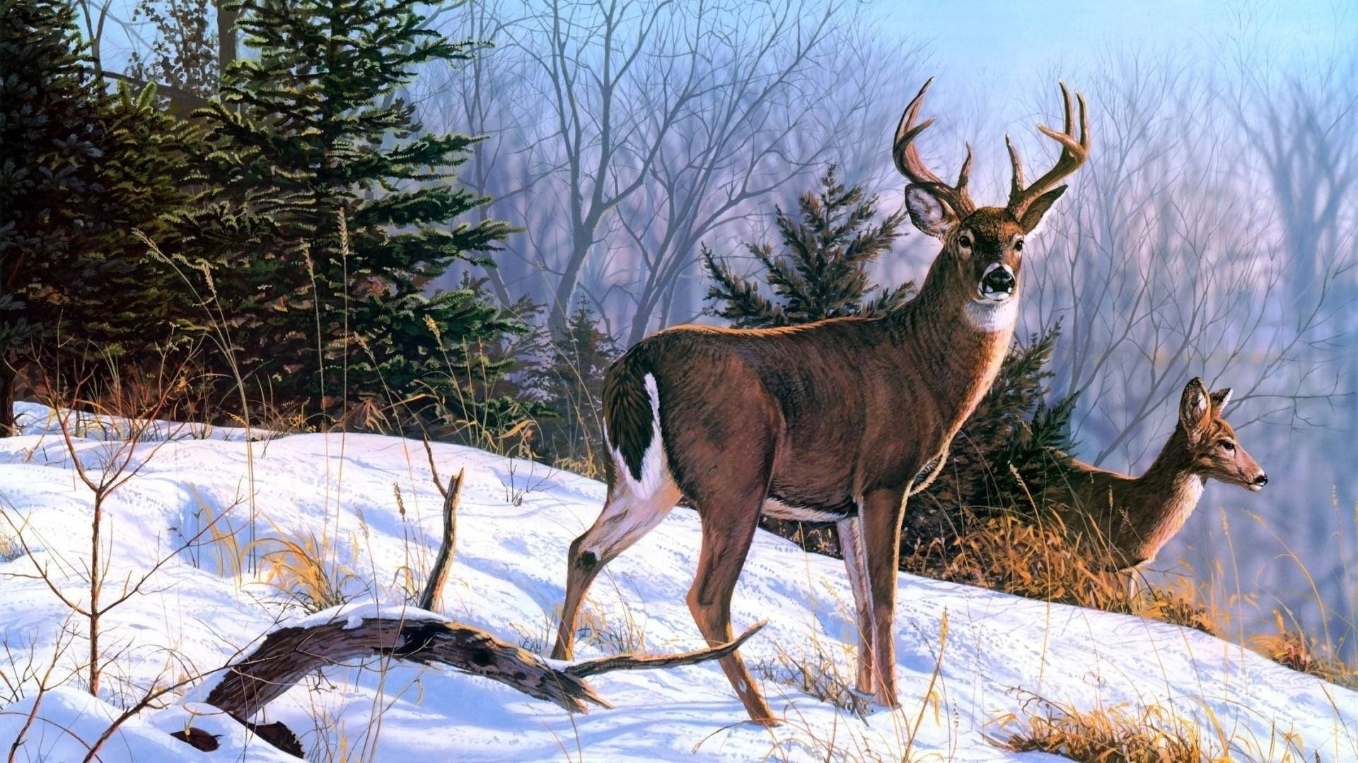 Reindeer In The Wild Painting Wallpaper