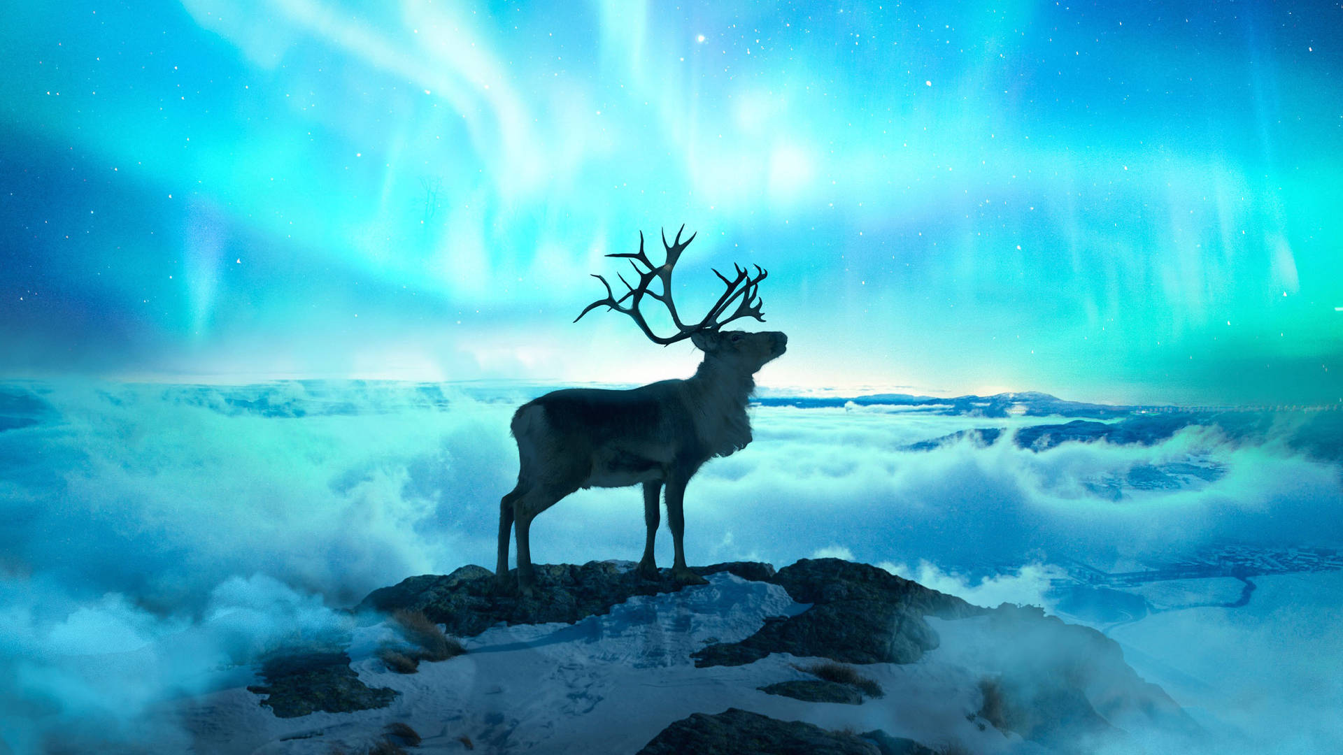 Reindeer Under Northern Lights Wallpaper