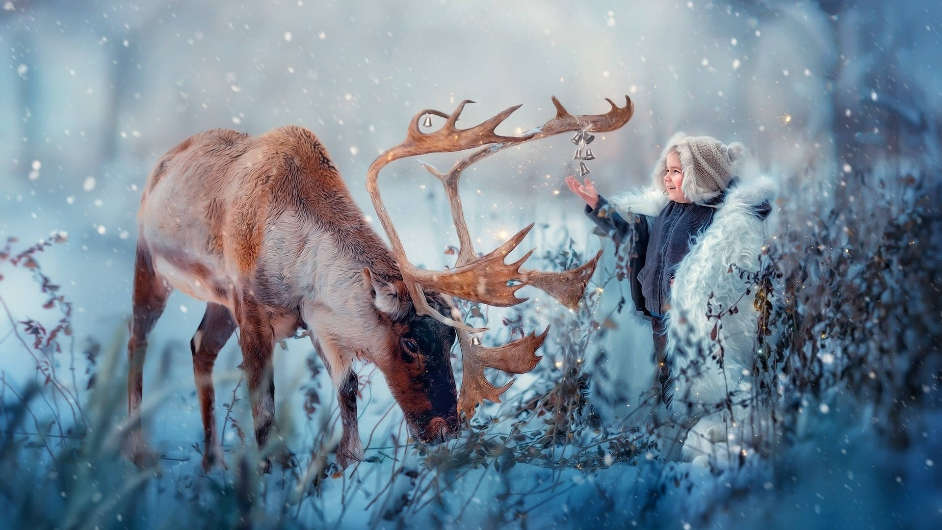 Reindeer With A Boy Wallpaper