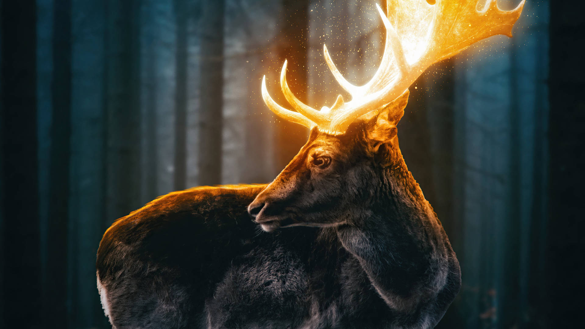 Reindeer With Glowing Antlers Wallpaper