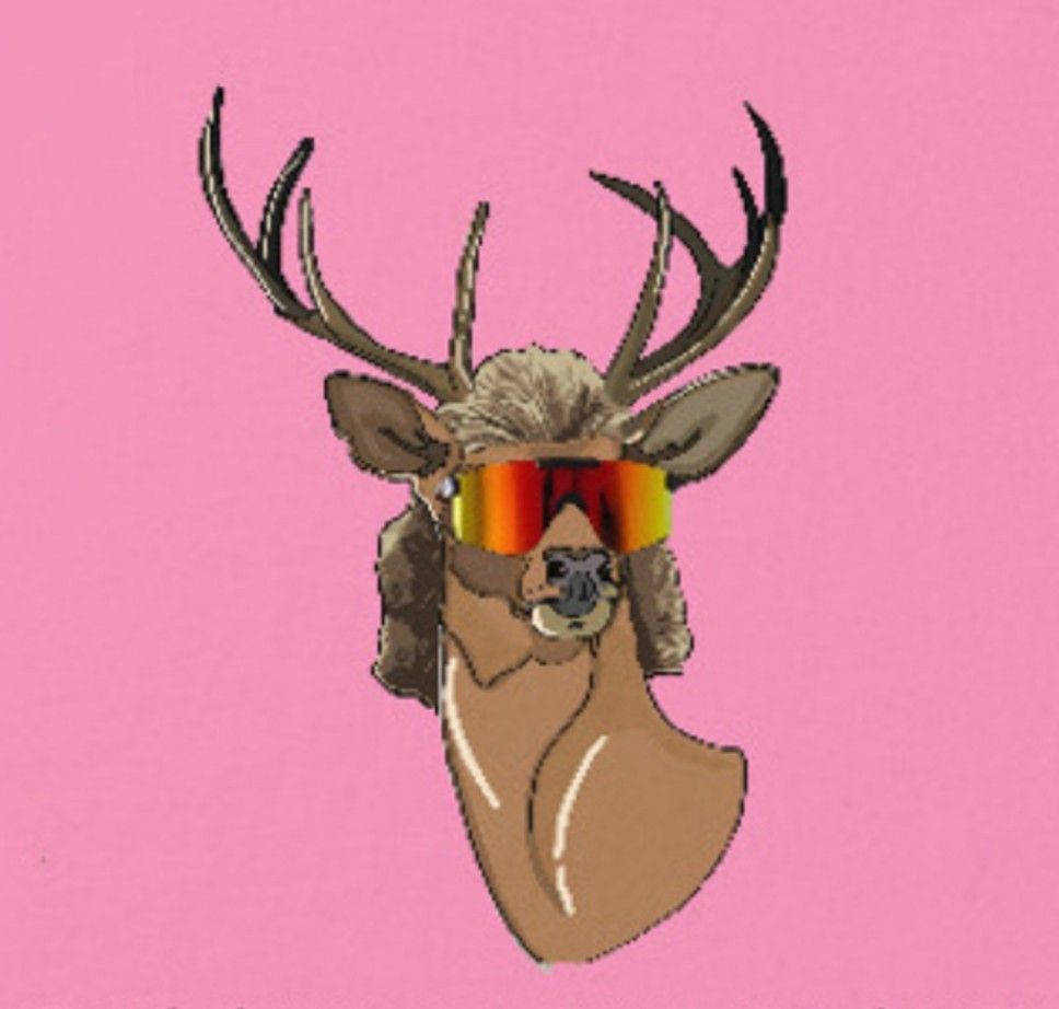 Reindeere med hår og solbriller Instagram PFP Wallpaper