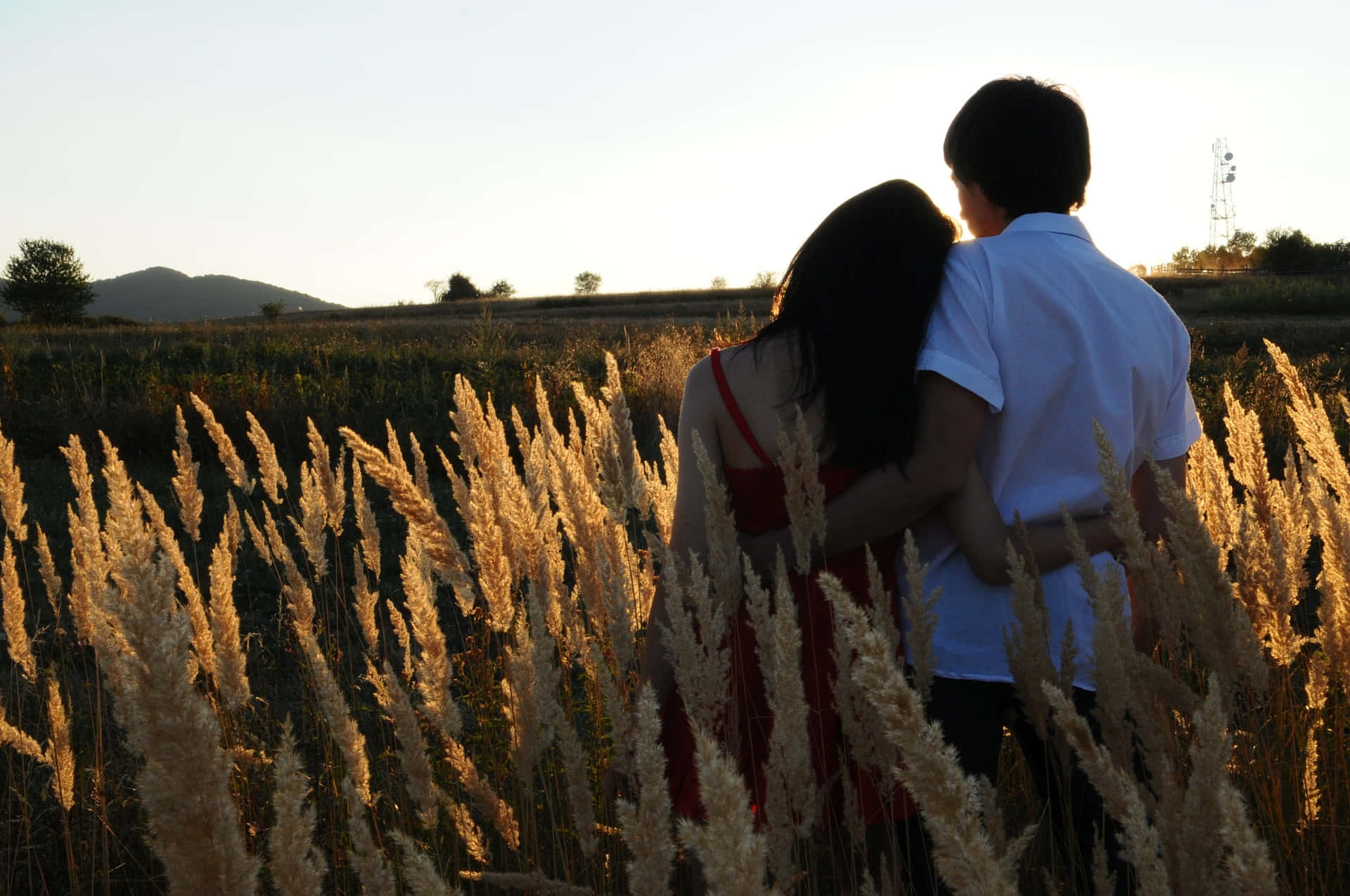 Couple On Wheat Field Relationship Picture