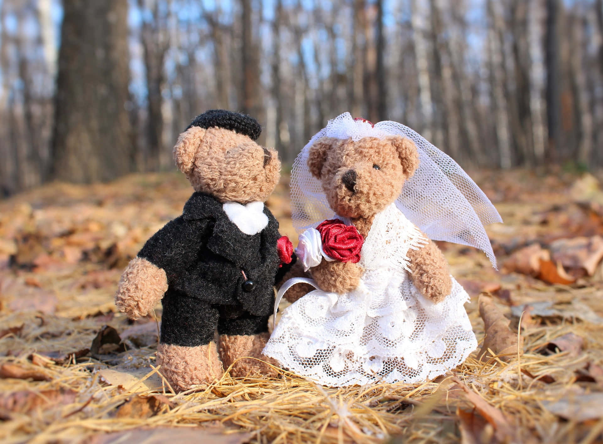 Groom And Bride Teddy Relationship Picture
