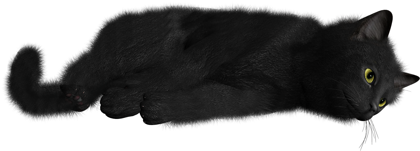 Relaxed Black Cat Lying Down PNG