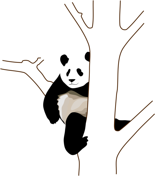 Relaxed Panda Clinging To Tree PNG
