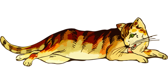 Relaxed Tabby Cat Illustration PNG