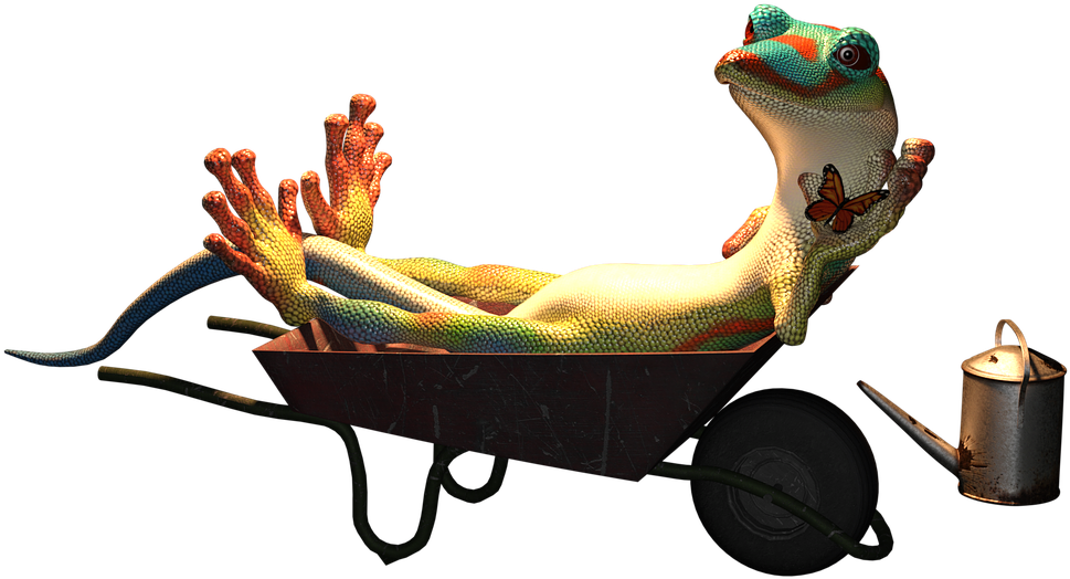 Relaxed_ Gecko_in_ Wheelbarrow.png PNG