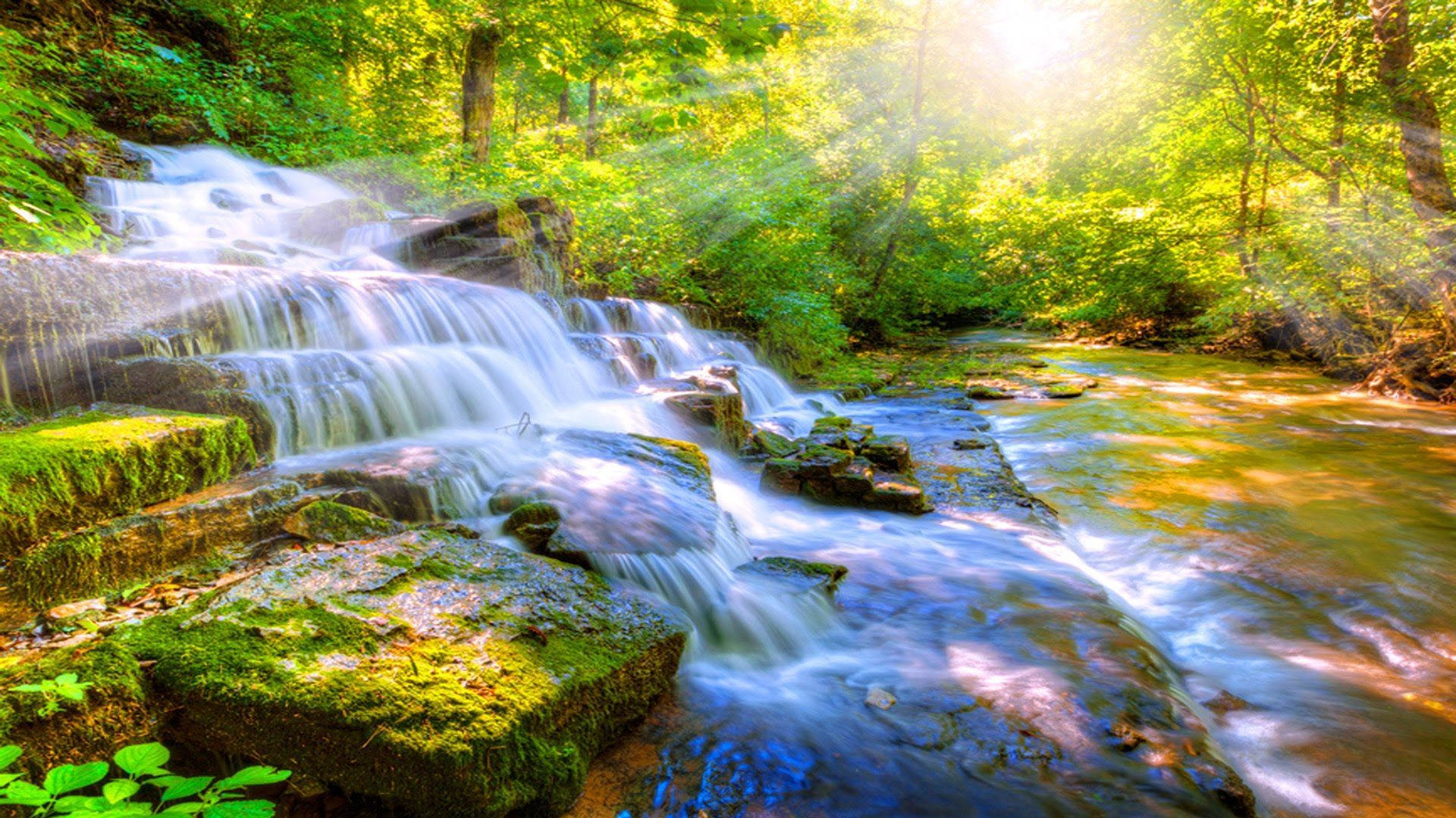 Enjoy the tranquil beauty of nature in this relaxing desktop background Wallpaper