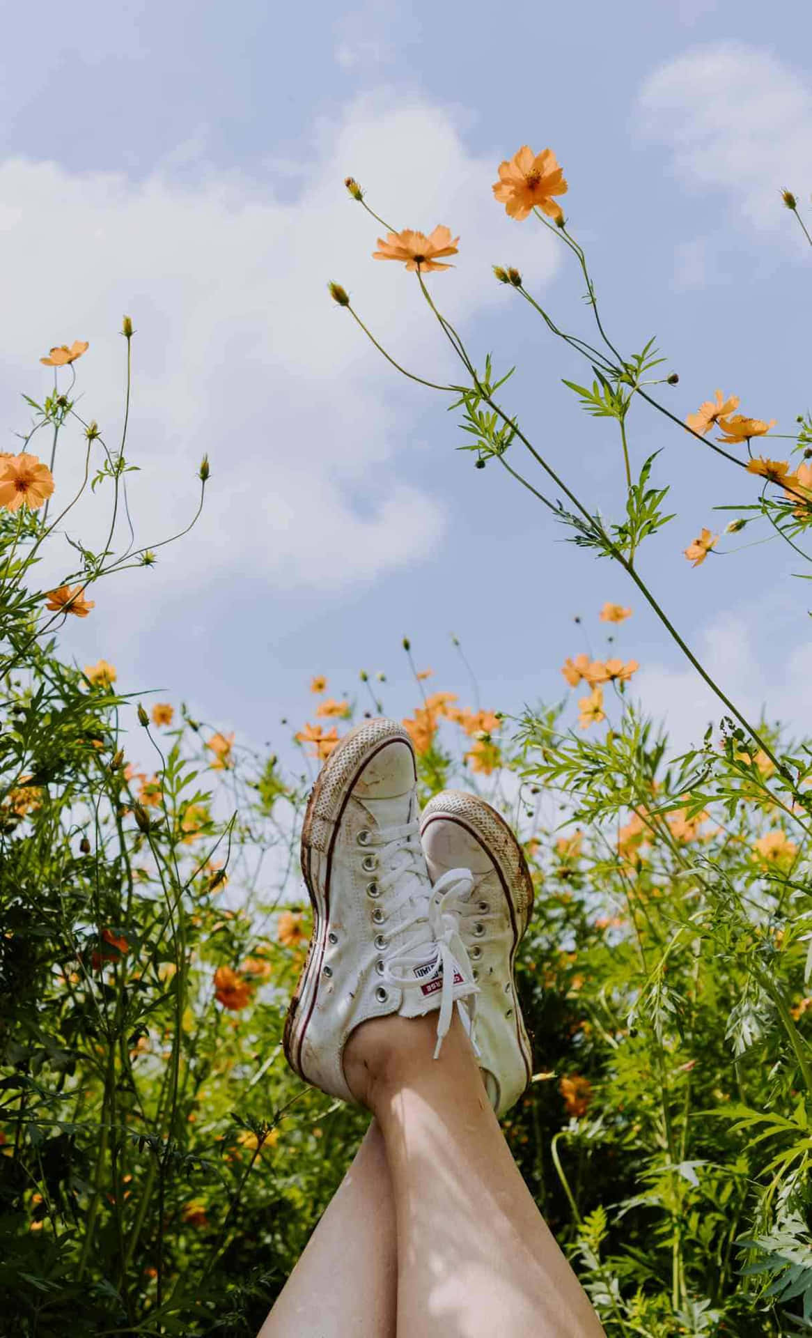 Relaxing In Nature With Sneakers Wallpaper