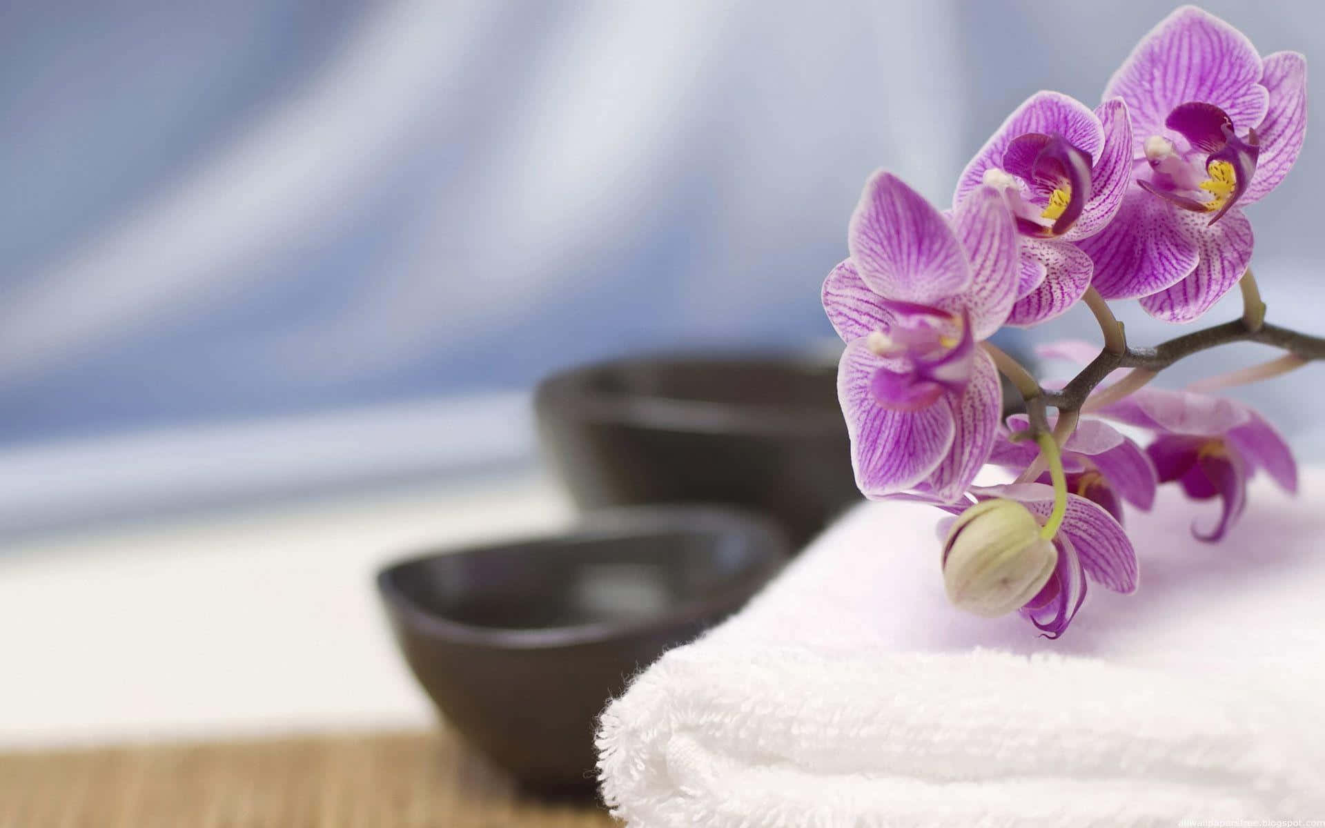 Relaxing Spa Settingwith Orchids Wallpaper