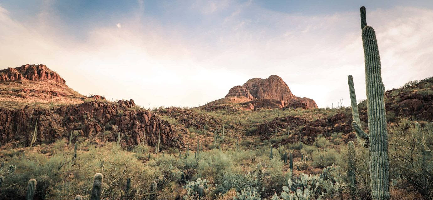 Relaxing Tucson Landscape View Wallpaper