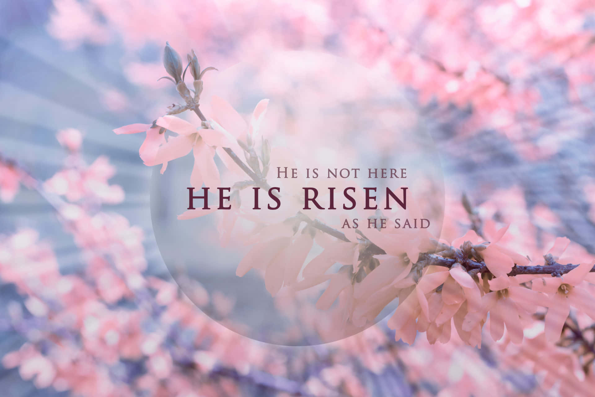 Celebrating the Resurrection of Christ on Easter
