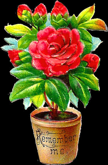 Remember Me Red Rosein Pot PNG