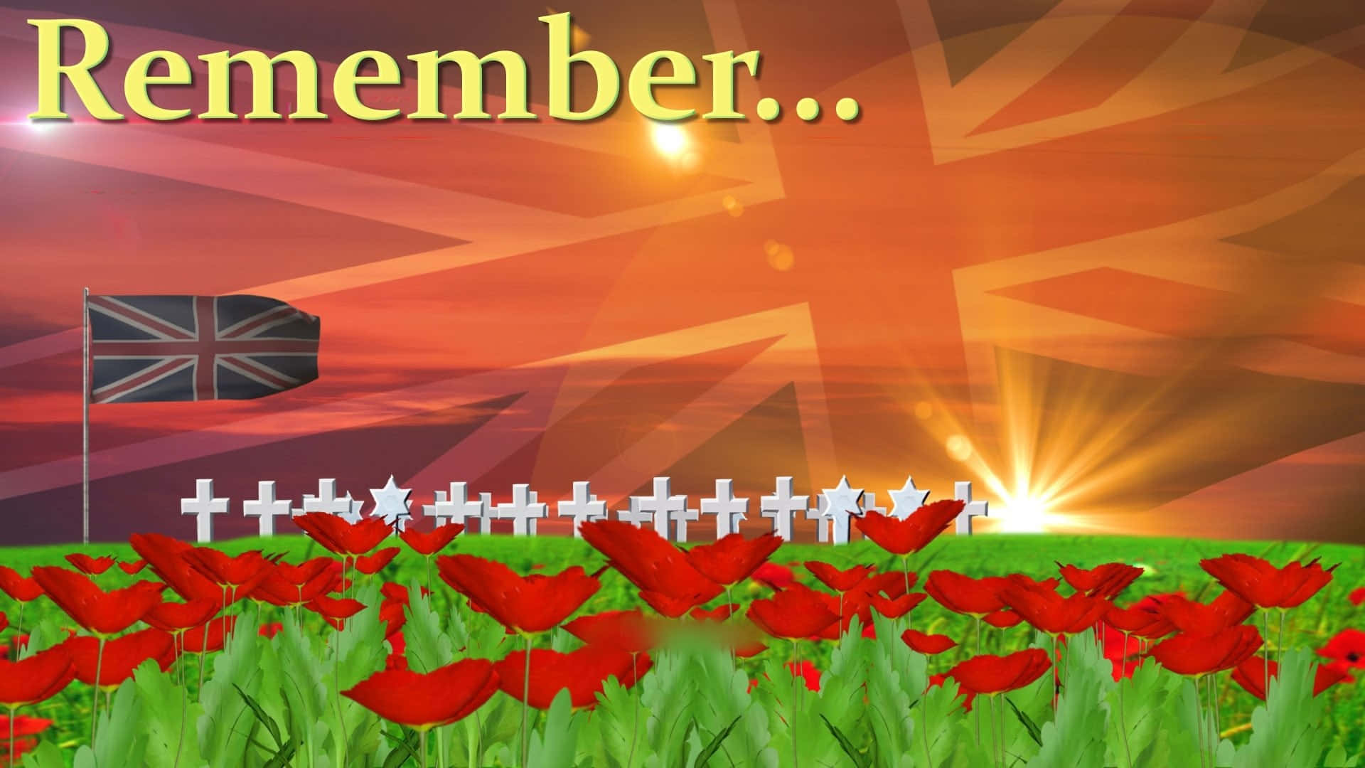 A Red Poppies Field With The Words Remember