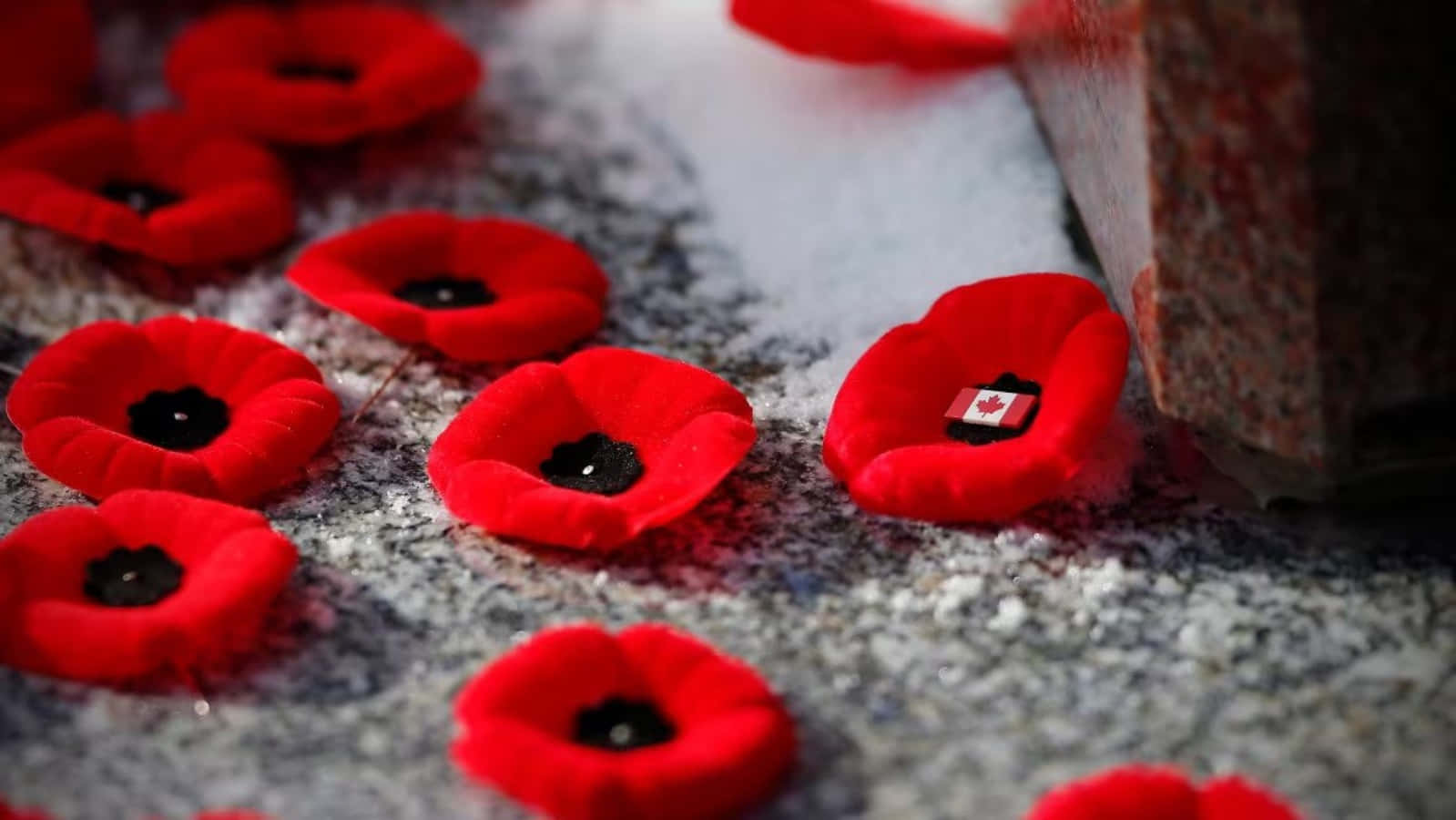 Capturing The Essence Of Remembrance Day.