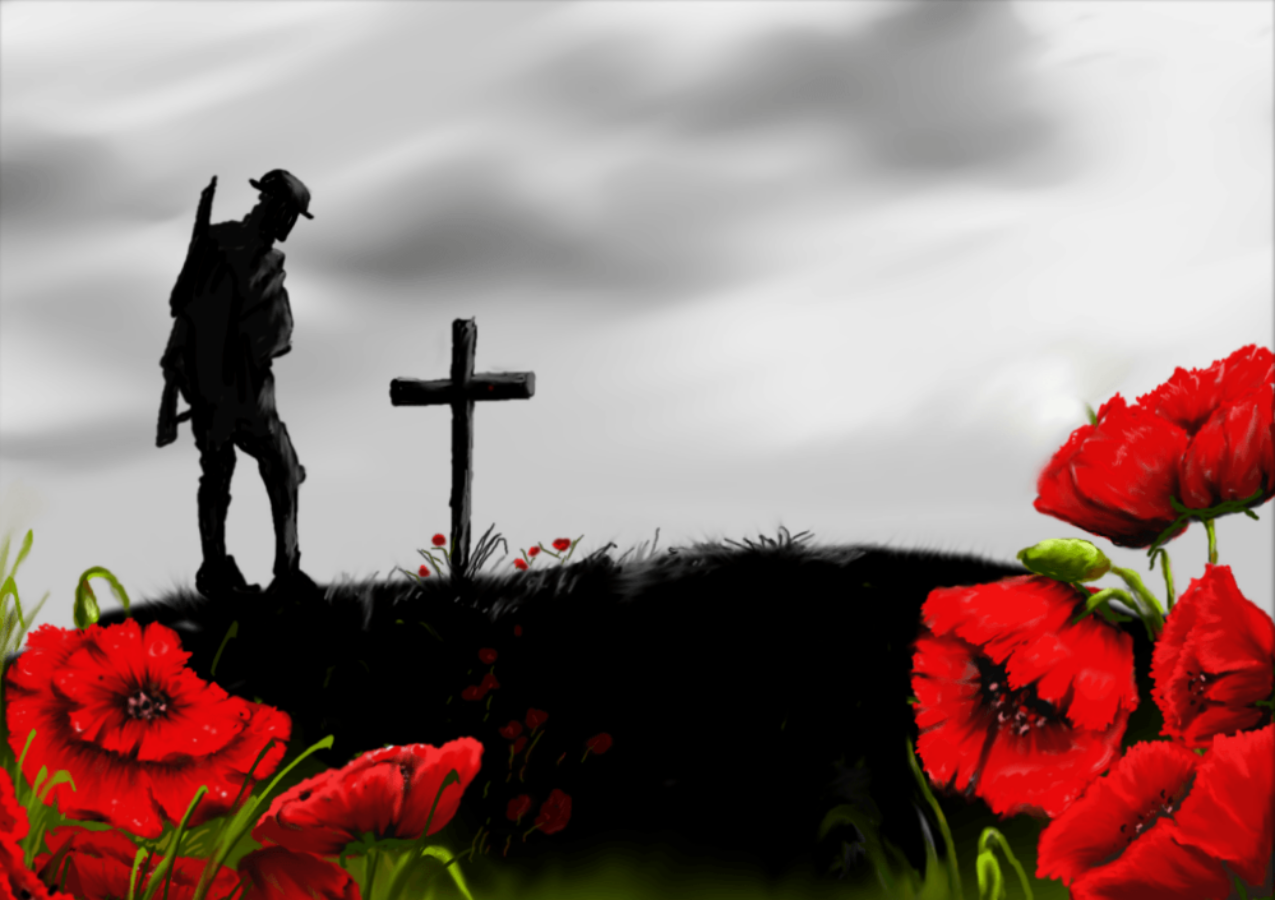 a soldier is standing on a hill with poppies