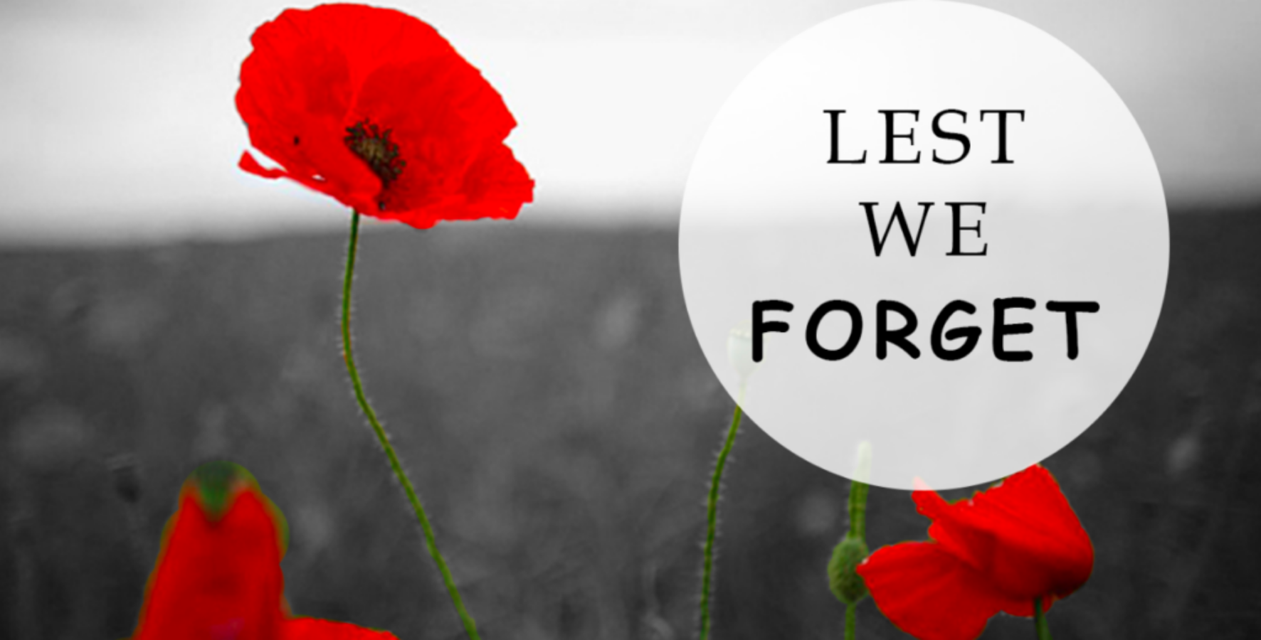 We remember.