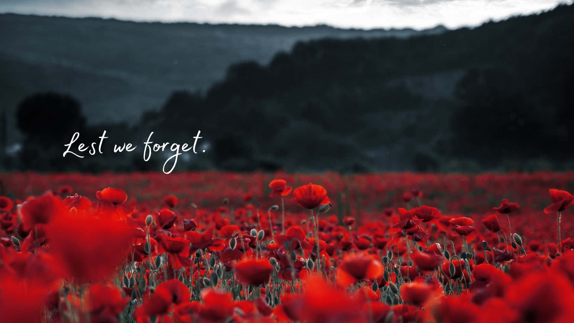 “Lest we forget” - A respectful tribute to those who sacrificed for their country.